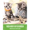 Silvervine Chew Sticks for Cats, 10 Pack Natural Catnip Chew