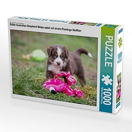 CALVENDO Puzzle Cute Australian Shepherd Puppy Playing with a Flamingo Stuffed Animal 1000 Pieces 64 x 48 cm from Fotodesign Verena Scholze