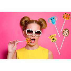 Fruidles Zoo Animal Lollipops Suckers, Fat-Free, Individually Wrapped with Sticks - (Pack of 12)