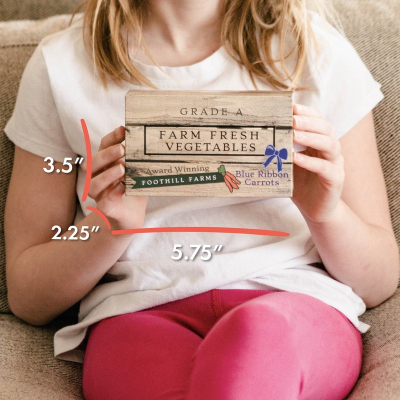 Foothill Toy Co. Animals in Boxes - 'Hopper The Garden