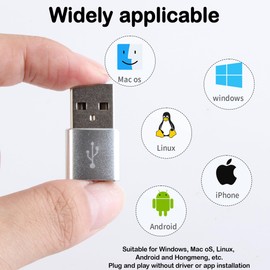 KEWAYO USB to USB C Adapter 10 Pack - Type C Female to USB A Male Converter