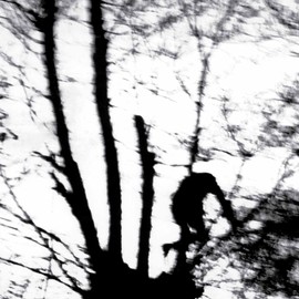 CAMOUFLAGE HEART [VINYL]