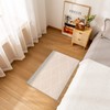 HAOCOO Entrance Mat, Indoor, Geometric Pattern, Scandinavia, 19.7 x 31.5