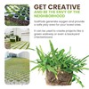 SodPods® St. Augustine Palmetto Grass Plugs for Lawn Repair, 3"