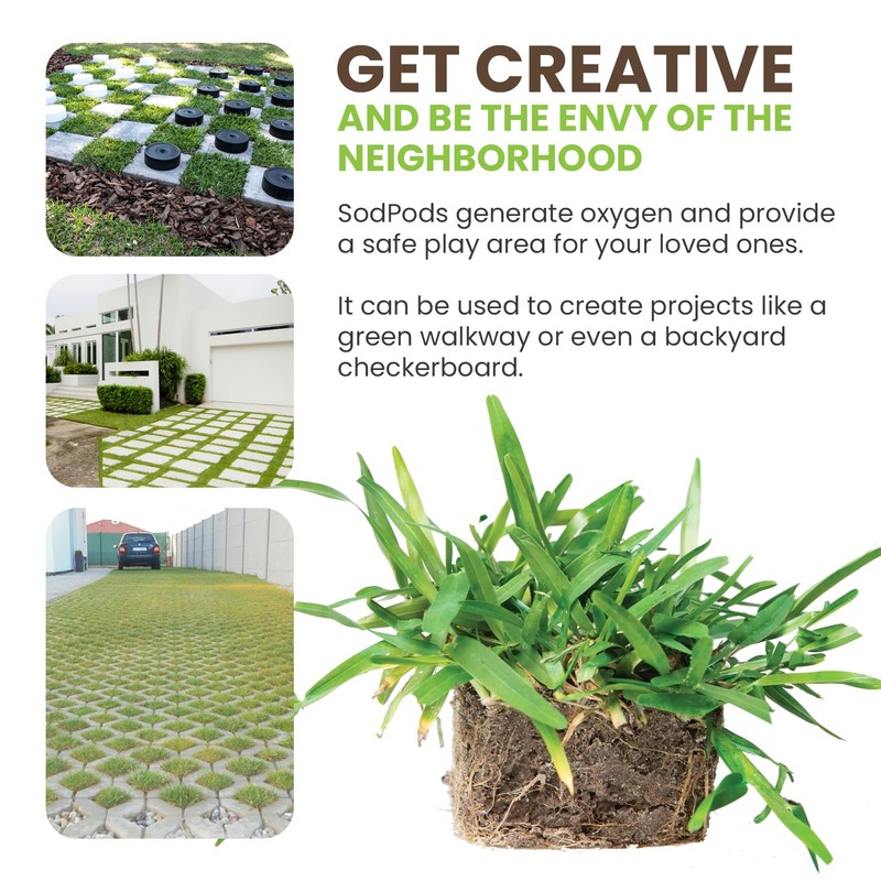 SodPods® St. Augustine Palmetto Grass Plugs for Lawn Repair, 3"
