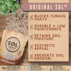 Sol Soils Original Sol Soil Topper – Decorative Rocks for