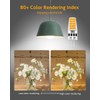 G4 LED Bulbs JC Bi-Pin Base Light Bulbs 3W AC/DC