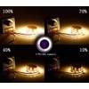 LED Light Strip Dimmer, DC 12V-24V 30A PWM Dimming Controller