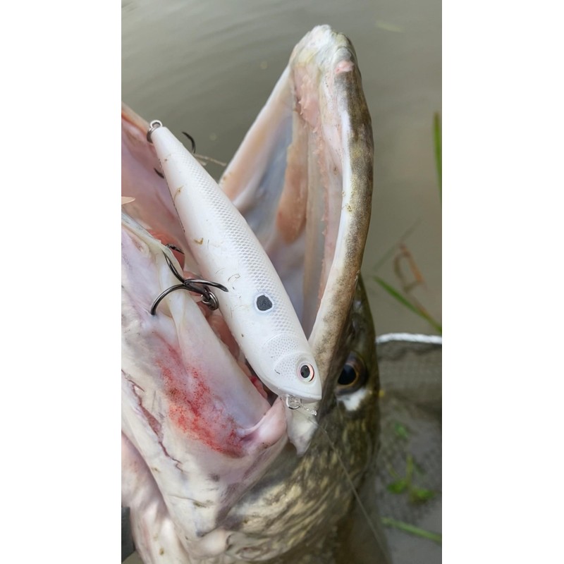 Esca di pesca a esca precisione, 1, RA5823067