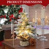 Pre-lit Snowy Mini Christmas Tree, Small Tabletop Flocked Christmas Tree