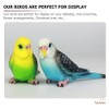 LOGOFUN 2pcs Simulation Birds Figrines Plastic Parakeets Statue Model Wildlife