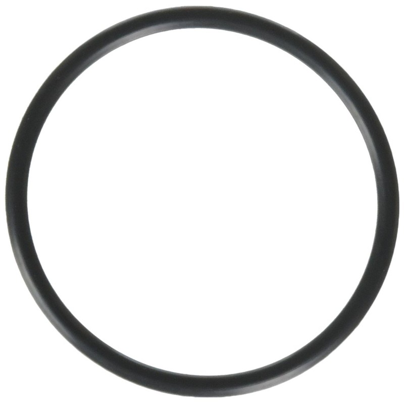 Hayward SPX1495Z1 Union O-ring
