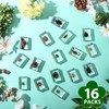 16 Pcs Ladybug Insect in Resin Specimen Butterfly Bugs Collection