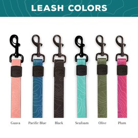 Wilderdog Waterproof Dog Leash - Repels Water & Dirt - Plum