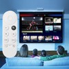 Repalcement Voice for Google Chromecast Remote,G9N9N for Chromecast with Google