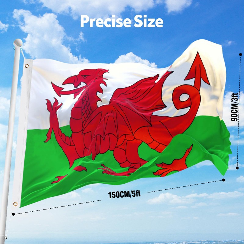 Wales Flag, Hianjoo Welsh National Flags 5ft x 3ft with