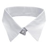 Joyci European New Women's Faux False Collar Lapel Choker Peter