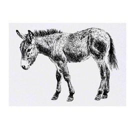 'Donkey Standing Side View' Temporary Tattoo - Water Resistant, Skin-Safe, Non-Toxic Transfer (TO00084457)