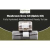 Mushroom Grow Kit (Quick Kit)