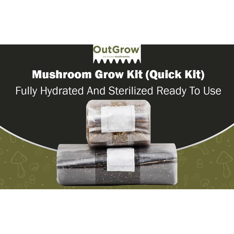 Mushroom Grow Kit (Quick Kit)