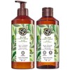 Yves Rocher MAXI SET Corporal aroma OLIVA Y NARANJO: Crema