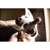 Tall Tails Brown Braided Stick Toy