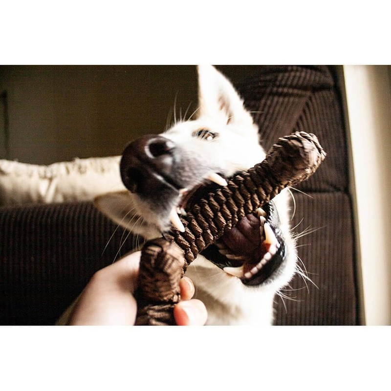 Tall Tails Brown Braided Stick Toy