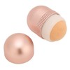 Oil-Absorbing Volcanic Face Roller, Reusable Face Roller Skin Care Facial