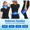 Reusable Hot and Cold Gel Ice Packs for Injuries |