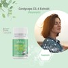 Cord Yceps CS-4 Extract (Caterpillar) – 5000 mg (provides 40%