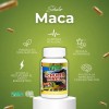 Schuler Maca Regenerador Celular 60 Caps Sfn