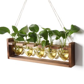 Plant Terrarium Propagation Stations 5 Hear Plant Lover Gift for Women Wife with Wooden Stand Heart Shaped Colored Glass Vase
