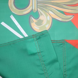 AZ FLAG French Foreign Legion Flag 3' x 5' for a pole - Army of France flags 90 x 150 cm - Banner 3x5 ft with hole