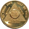 24 Hours AA Medallion 24k Gold Plated Alcoholics Anonymous Sobriety