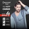 2 Shampoo Grisi Organogal Negro Intenso 400ml