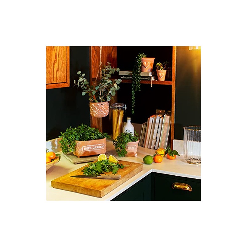 Sass & Belle Mini Terracotta Planter with Heart