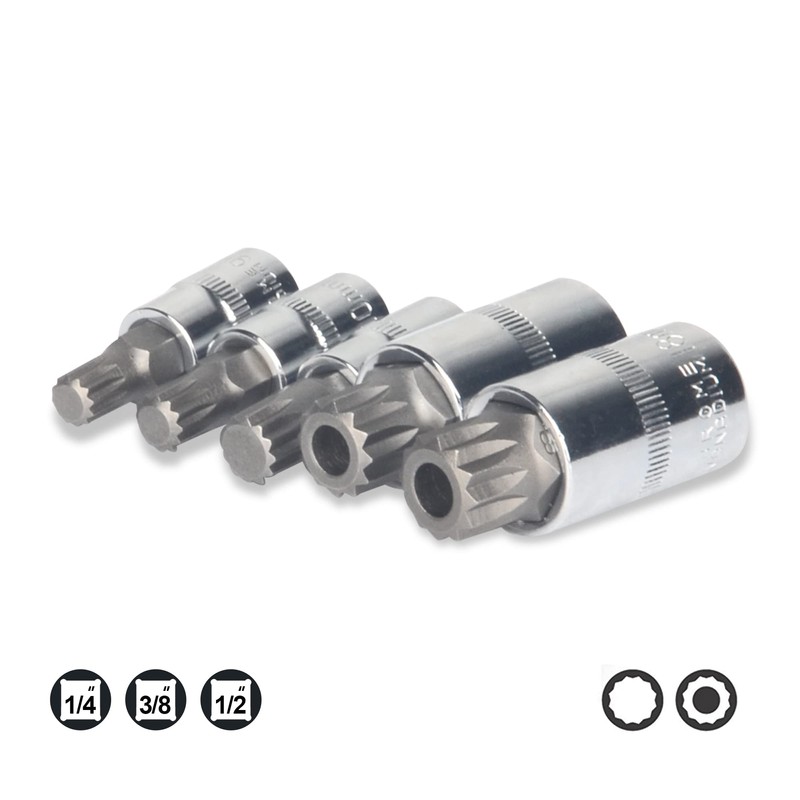 DAYUAN Spline Socket Bit Set 10pcs Square Triple Silver M4