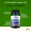 Swanson Swanson Apigenin Supplement for Sleep - 90 Caps, 50