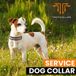 Tacticollar - Service Dog Collar, Nylon, Adjustable, Embroidery ((X-Small) 10-12in Length x 1in Width)