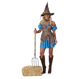 California Costumes, Women's Sexy Scarecrow, Size S