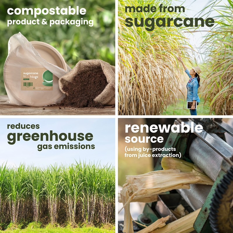 HAAGO Biodegradable Disposable Sugarcane Bagasse Plates - for Parties, Weddings,