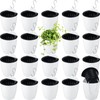 Yungyan 20 Sets 5" Self Watering Hanging Planter White Lazy