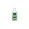 Liquid Chlorophyll 16oz. | Natural Mint Flavor | Immune Health