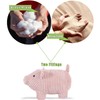 SANFERGE Cute Decorative Door Stopper for Home and Office Floor