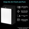 2 Pack - 45i Replacement Filter - for Breathesmart Flex