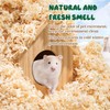 Sukh 14OZ Aspen Hamster Bedding - Aspen Shavings Pet Supplies