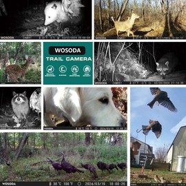 WOSODA Mini Trail Camera 3 Pack,4K 48MP Game Camera with 2.0'' LCD Screen,Hunting Camera with Night Vision Motion Activated Waterproof, 120 Wide-Angle with No Glow LEDs for Outdoor Wildlife