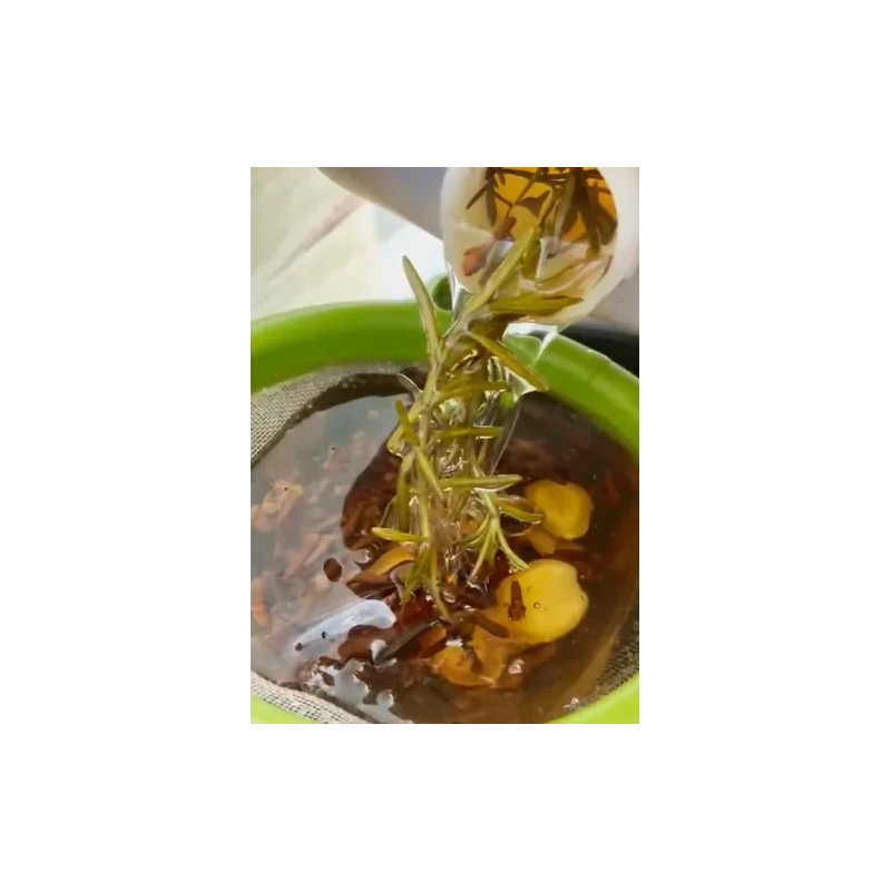 Shampoo Anticaída Premium Rz | Jengibre,romero,canela,clavo