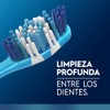 Oral Cepillo Dientes Acciones Limpieza Cerdas Suaves Inteligentes Unidad