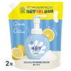 Stop bacteria, antibacterial bubble hand wash, lemon scent, 1.8L, 2 pcs / 세균아꼼짝마 항균 버블 핸드워시 레몬향, 1.8L, 2개